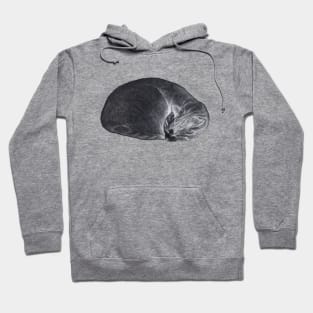 Rolled up lying, sleeping cat inversion Hoodie